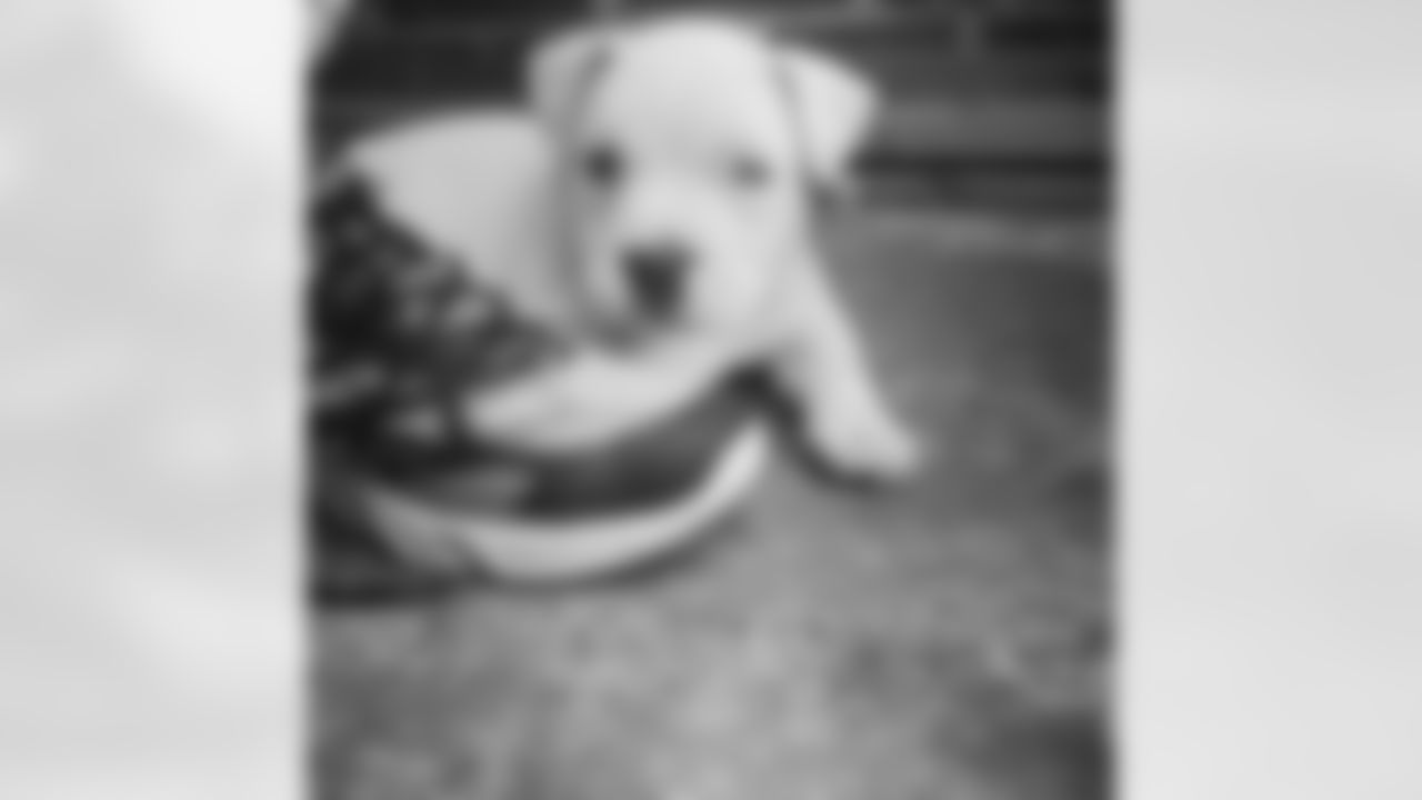 brandonking-instagram.jpg
