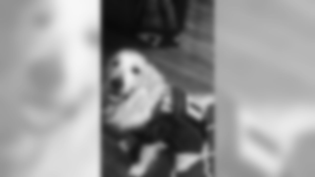 53270_8_3142267832