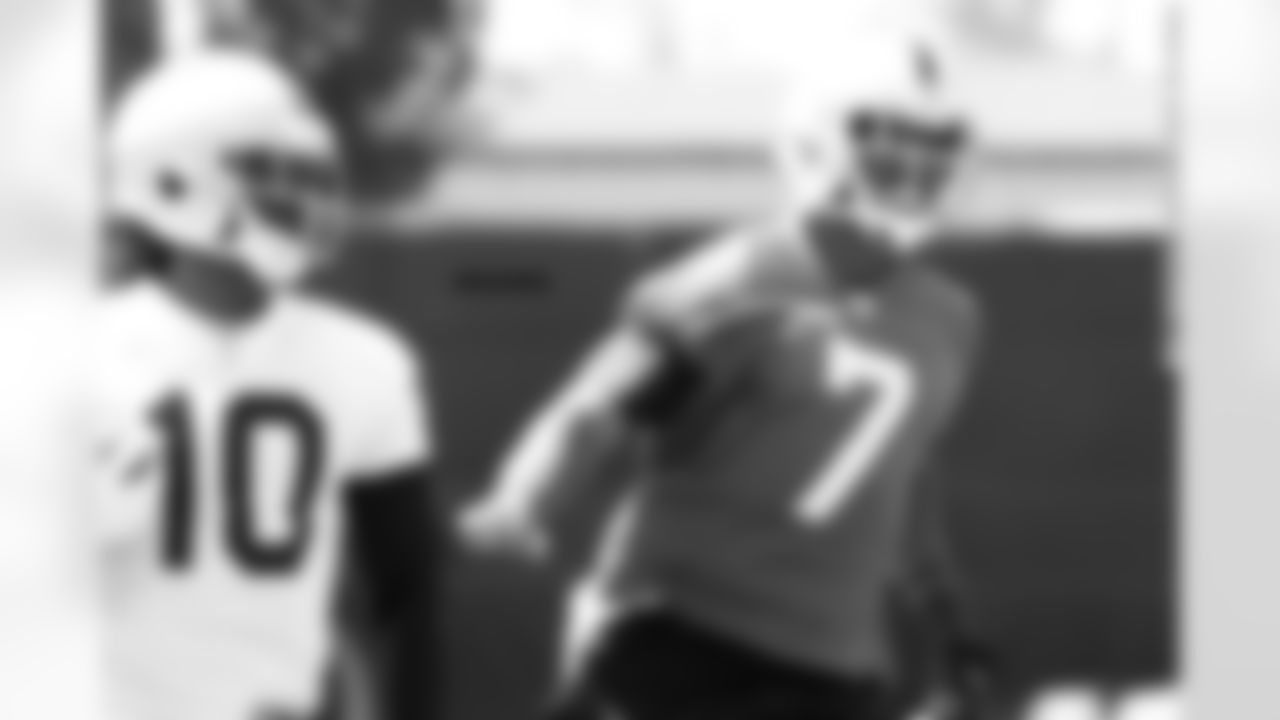 P Marquette King