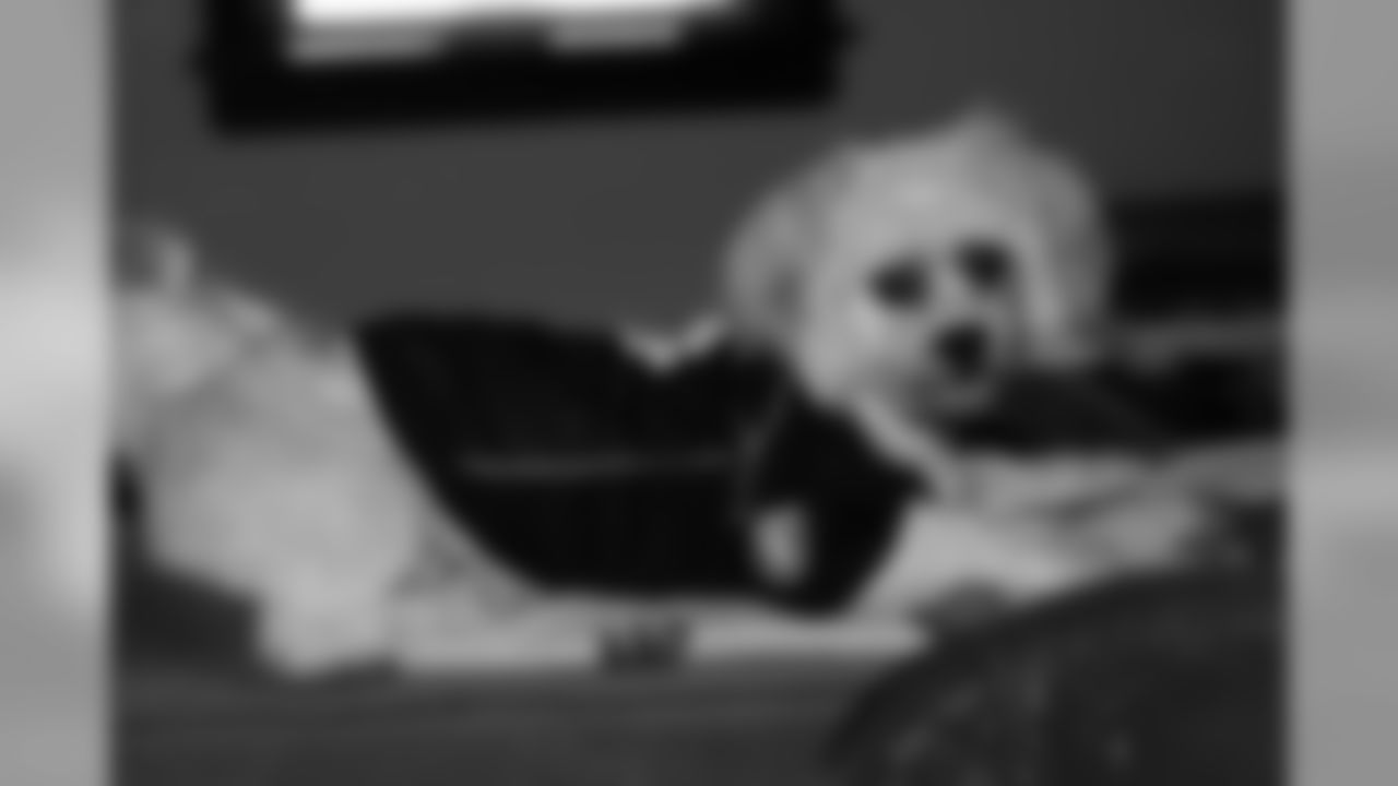 Buddy