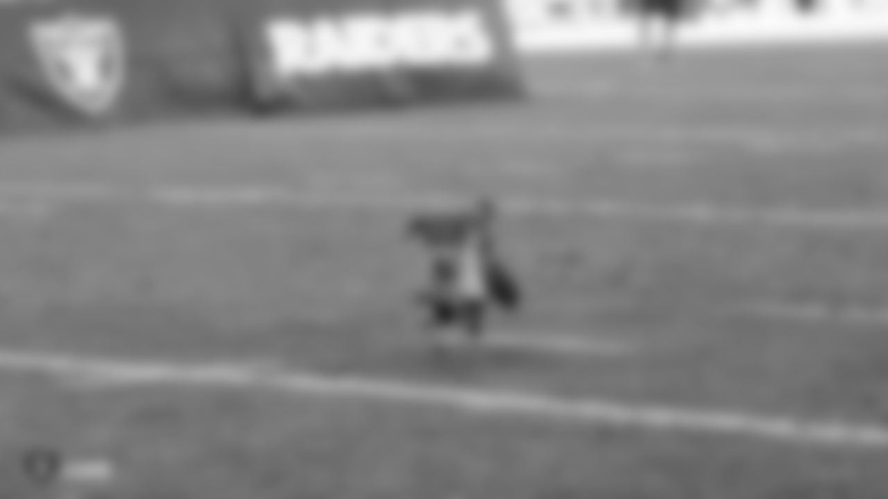 6th Annual Wiener Dog Races during halftime at the Raiders preseason game against the Los Angeles Rams.