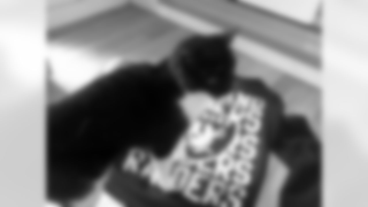 Stella