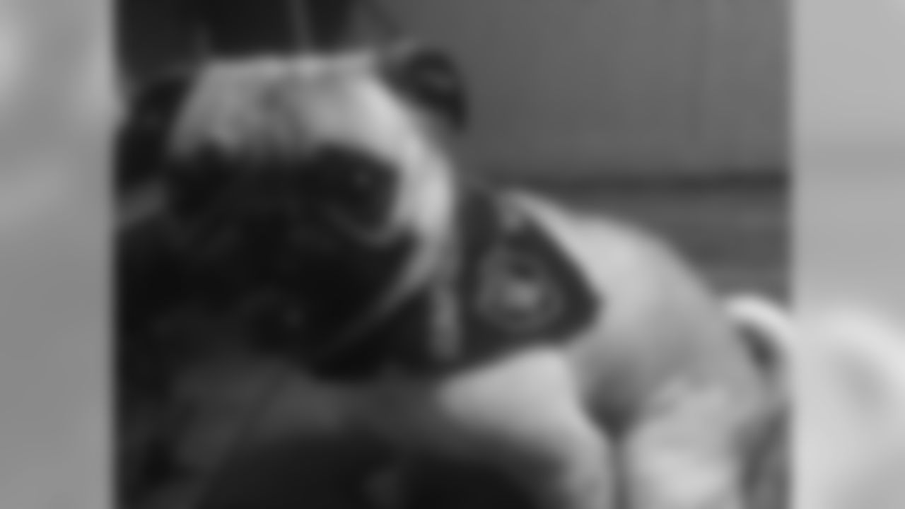 Jack