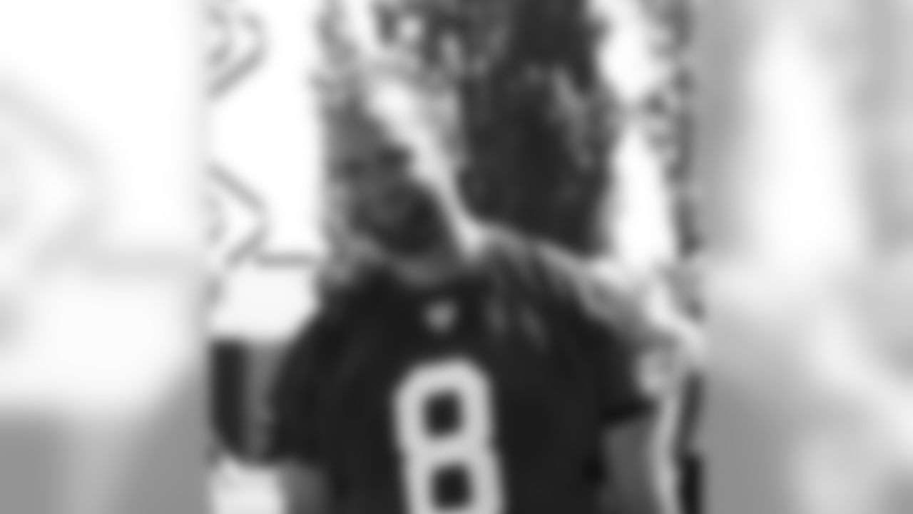 QB Matt Schaub