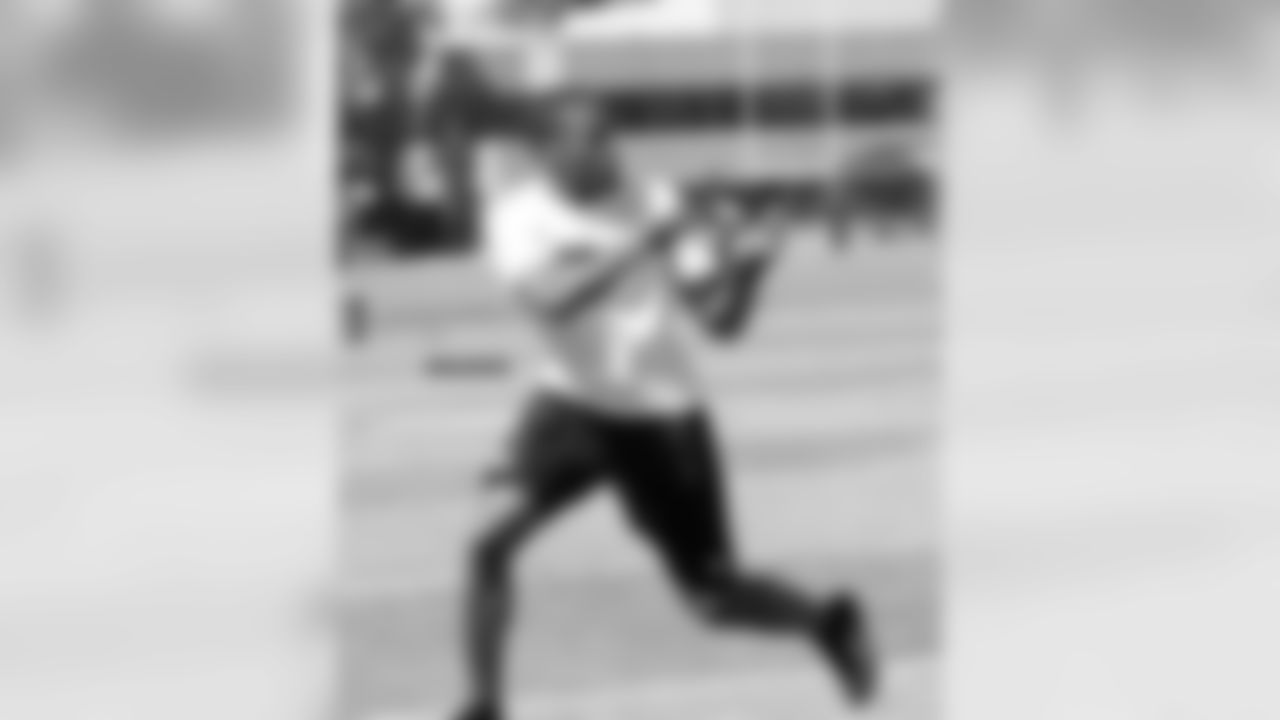 WR Brice Butler
