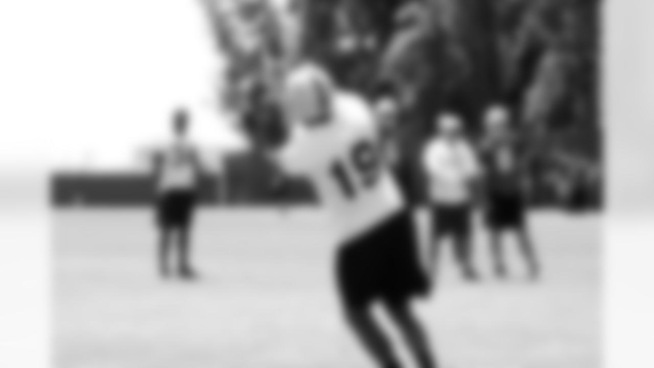 WR Brice Butler makes a catch.
