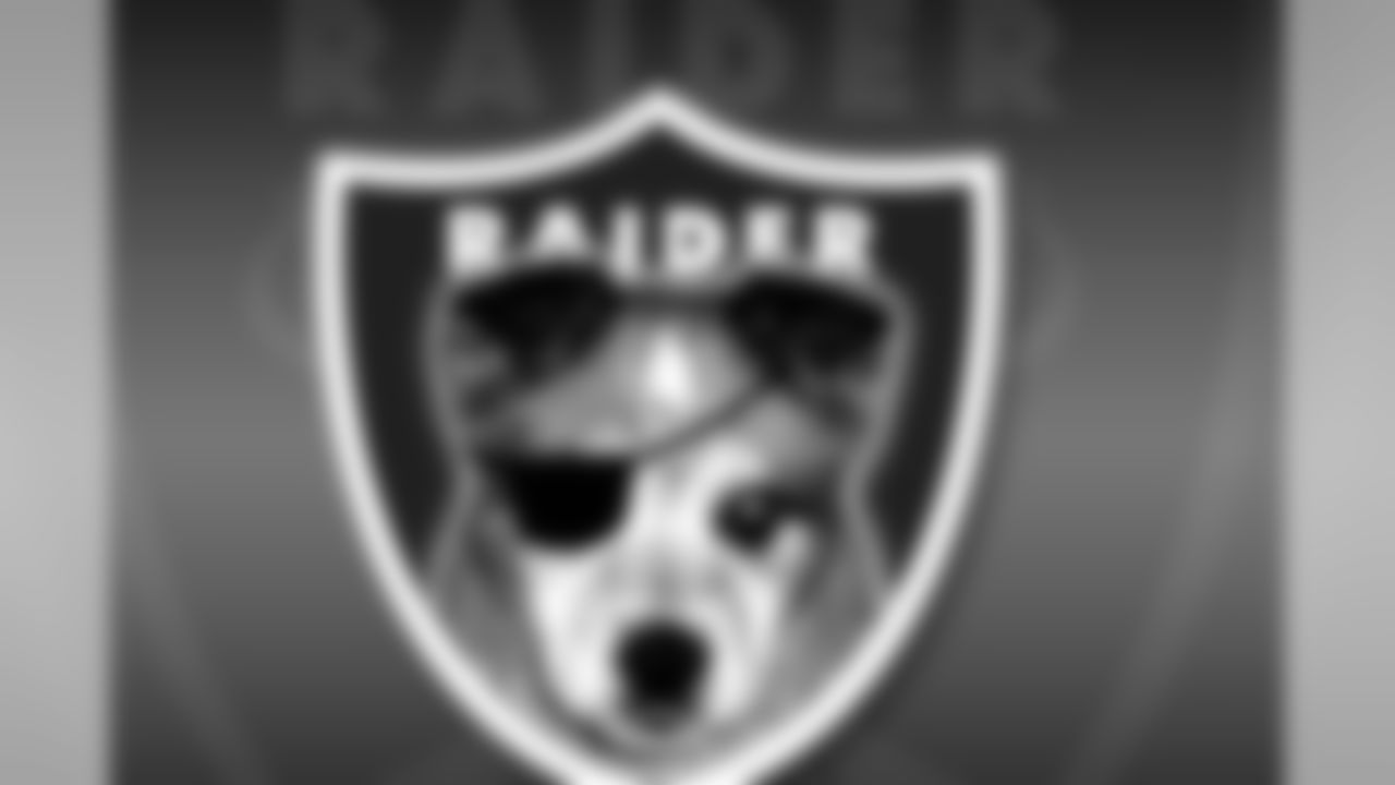 Raider