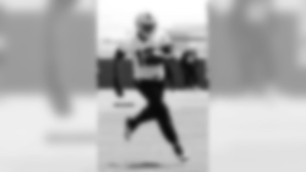 WR Brice Butler