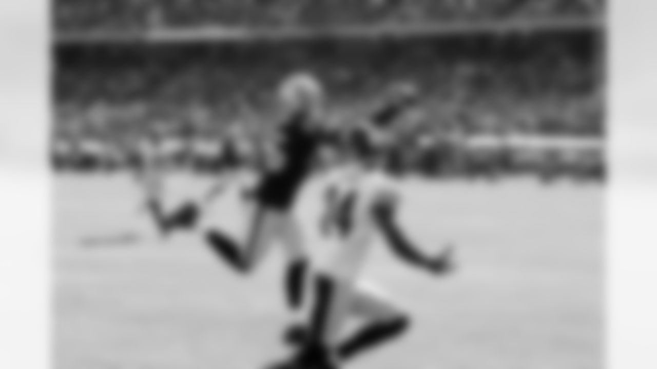 WR Darrius Heyward-Bey reaches out to haul in the pass.