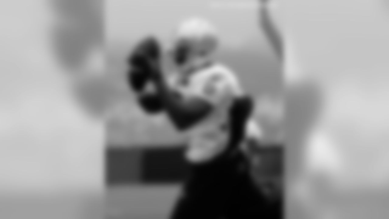 WR Darrius Heyward-Bey makes the catch.