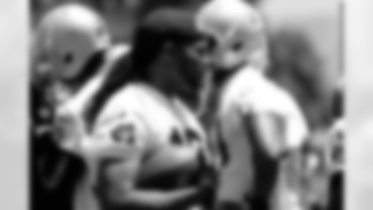 WR Josh Cribbs