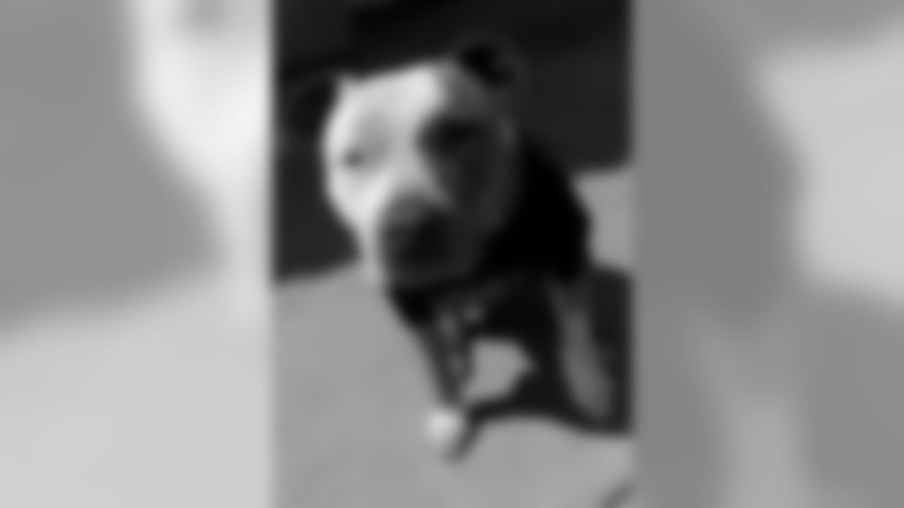 Chula
