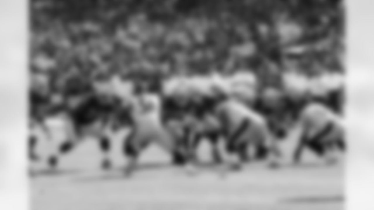 QB Carson Palmer takes the snap from under center.
