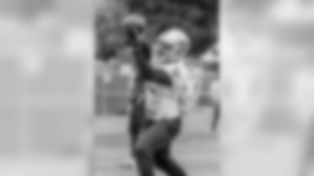 WR Brice Butler