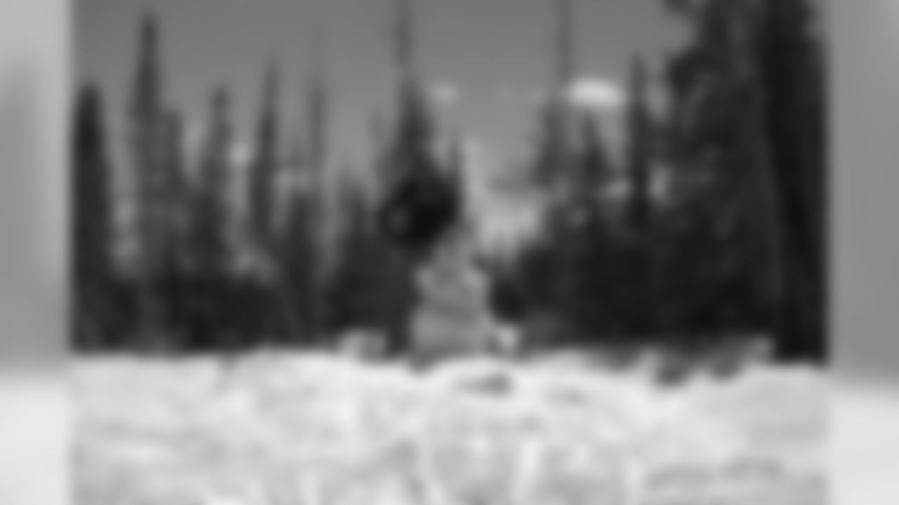 Canis on 4th of July in Medicine Bow Mountains in Wyoming