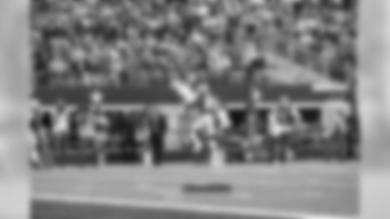 WR Andre Holmes makes a leaping grab.