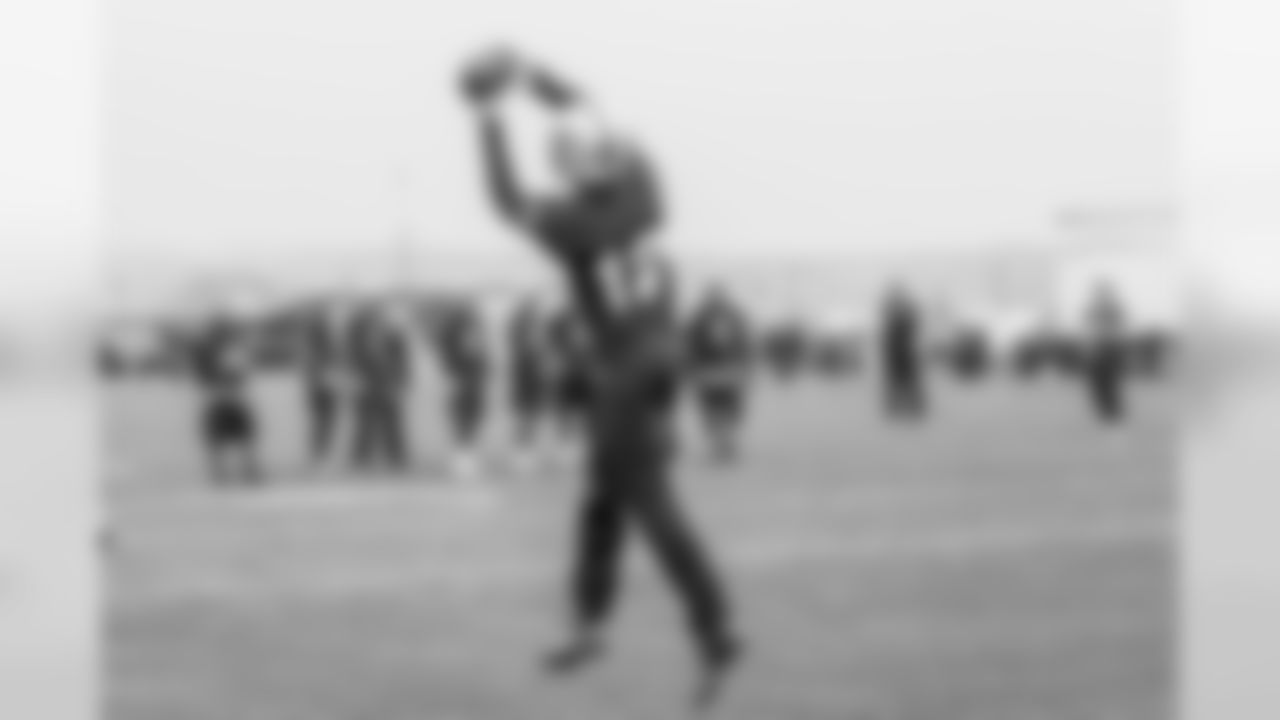 WR Brice Butler