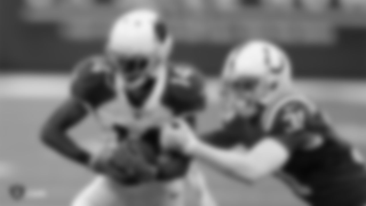 WR J.J. Nelson