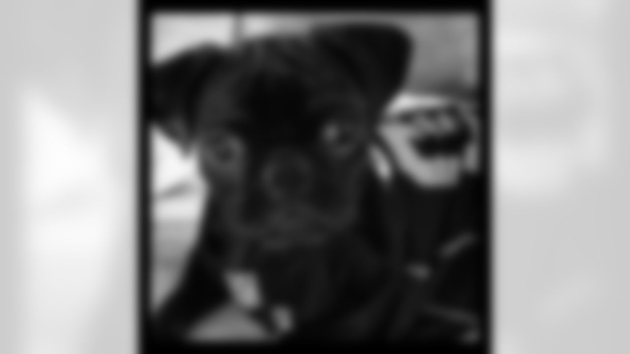 Marley