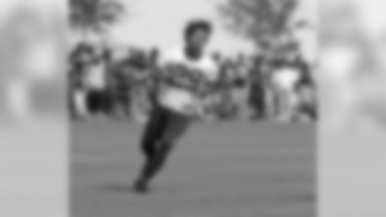 RB Roy Helu, Jr.