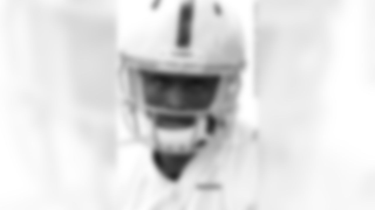 WR Brice Butler