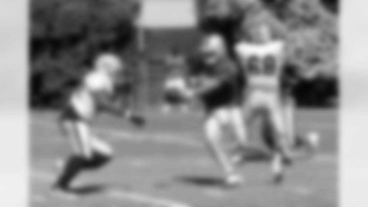 QB Kyle Boller hands off to RB Michael Bennett.