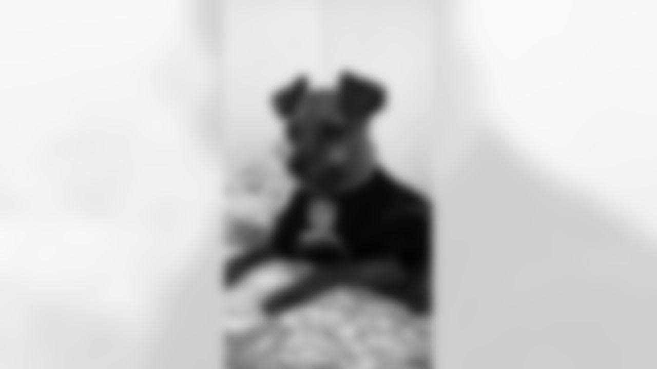 Marmaduke