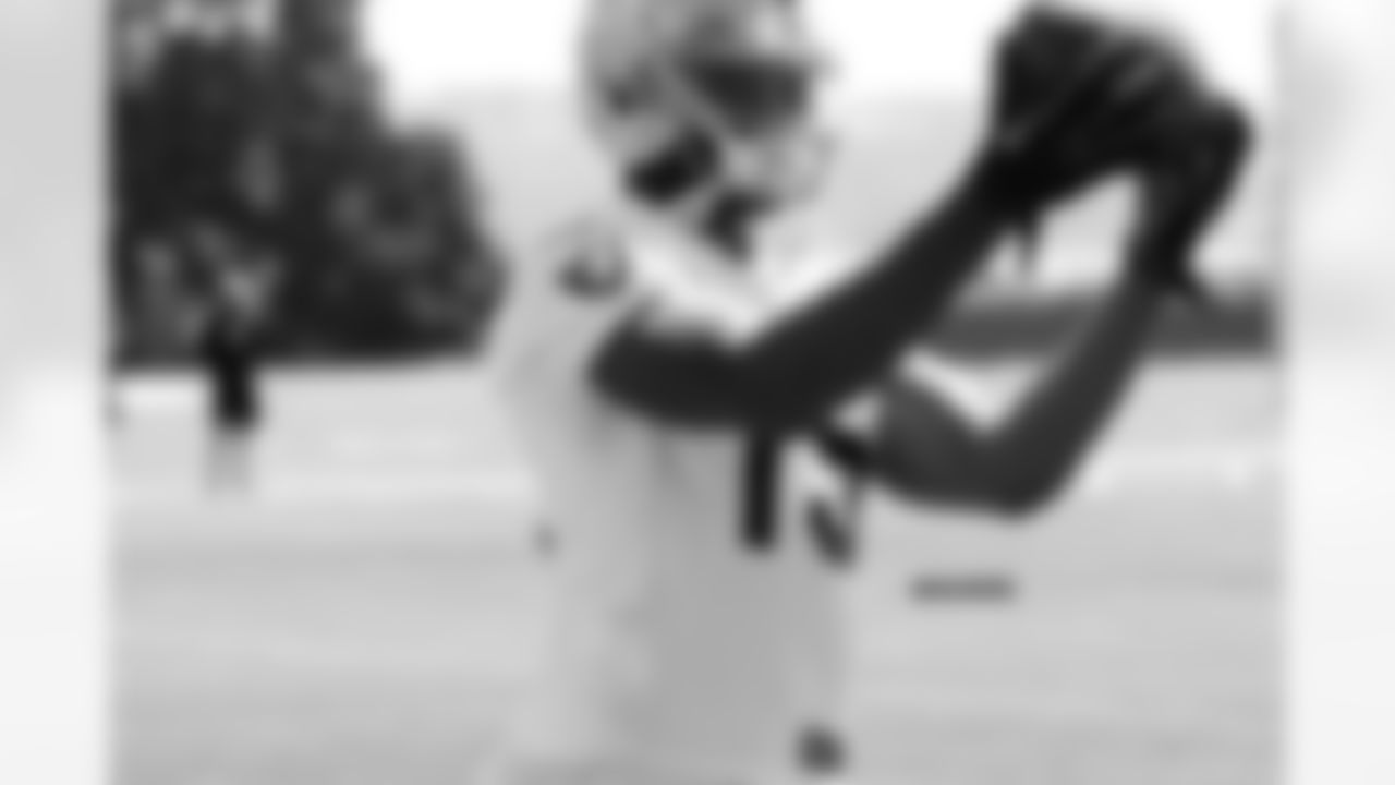 WR Greg Little