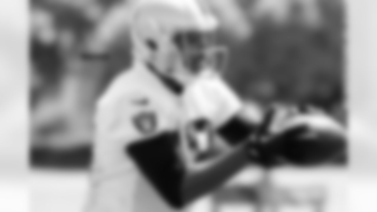 WR Andre Holmes