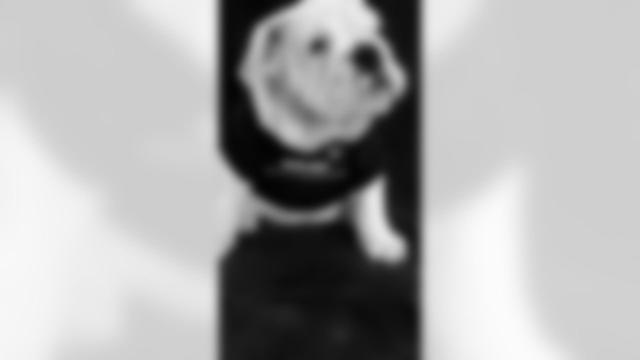 Raider Nation - The Pet Delegation