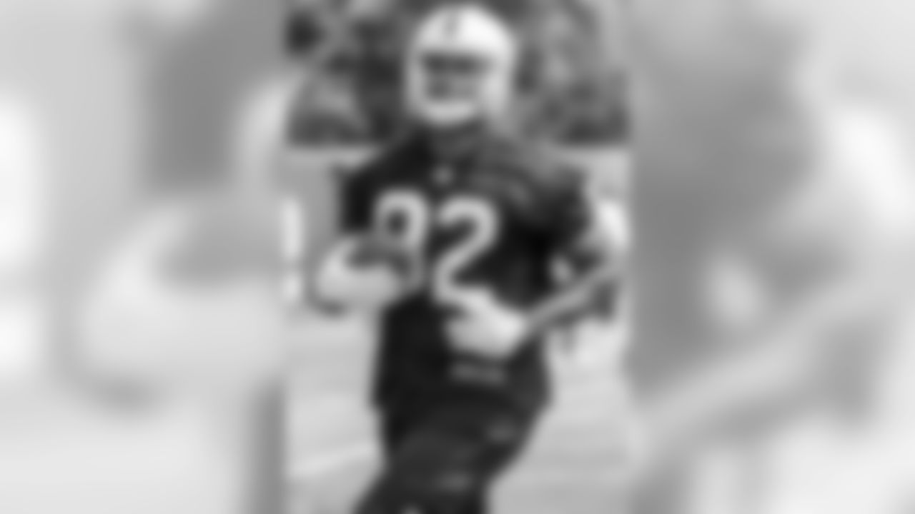 TE Gabe Holmes