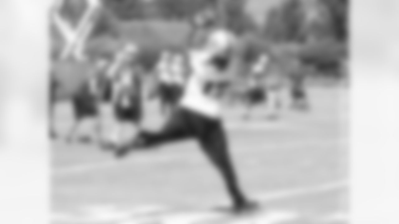 WR Denarius Moore