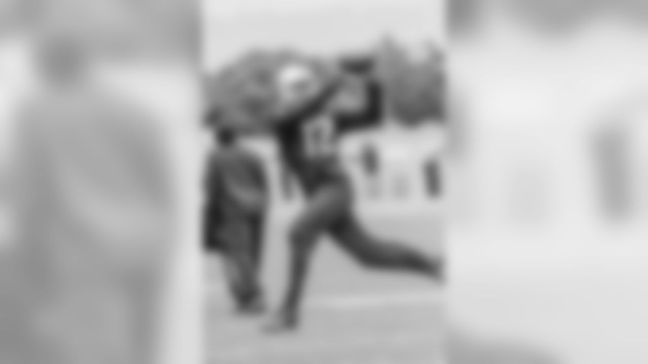 WR Brice Butler