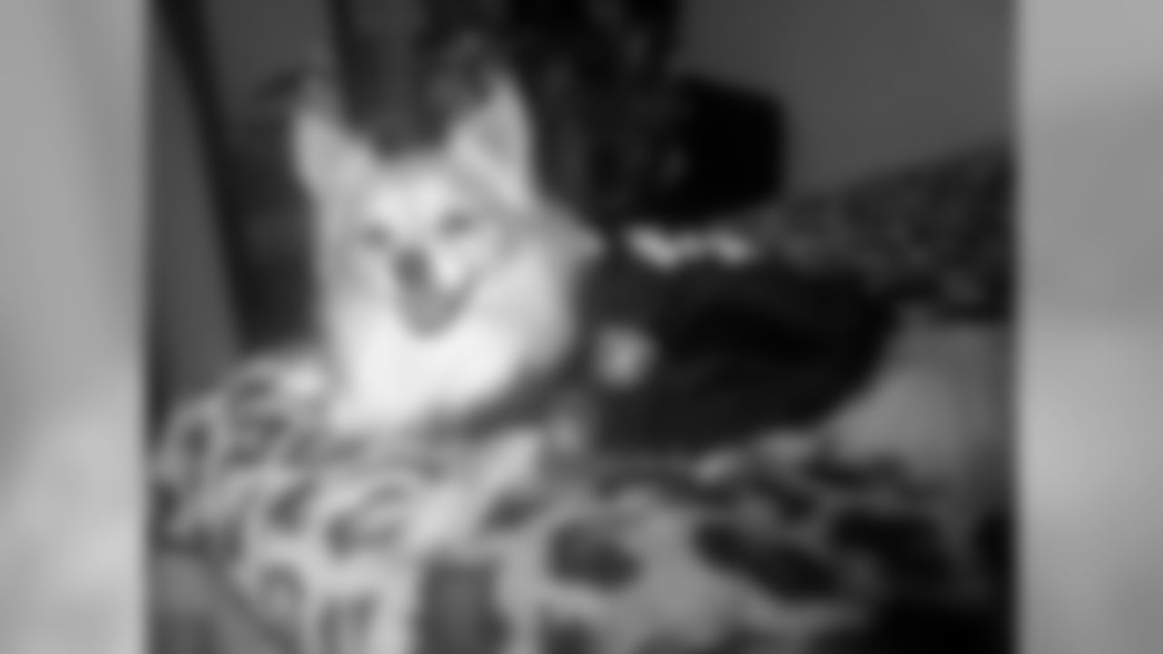 Mylo