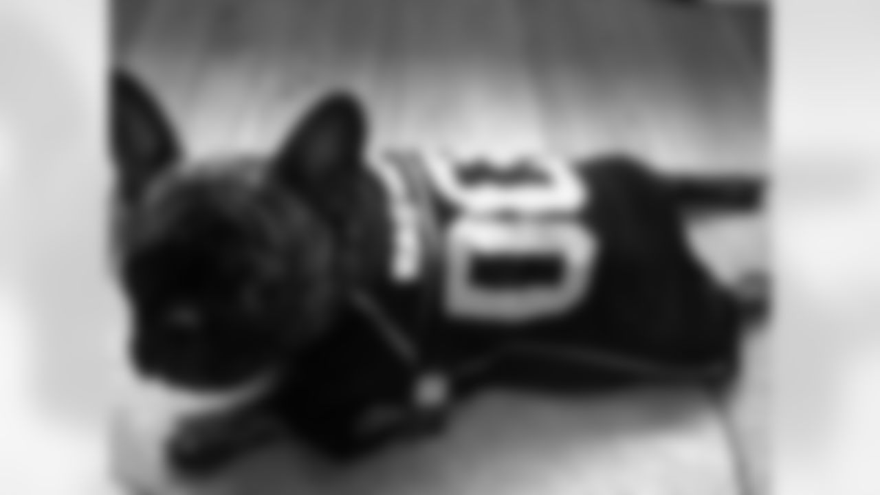 Steve
