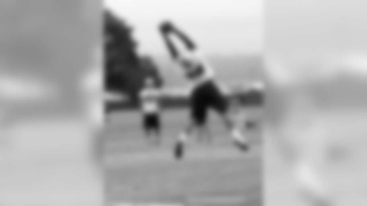 WR Juron Criner makes the leaping catch.