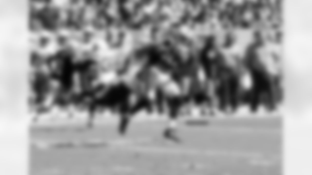 WR Brice Butler makes the catch.