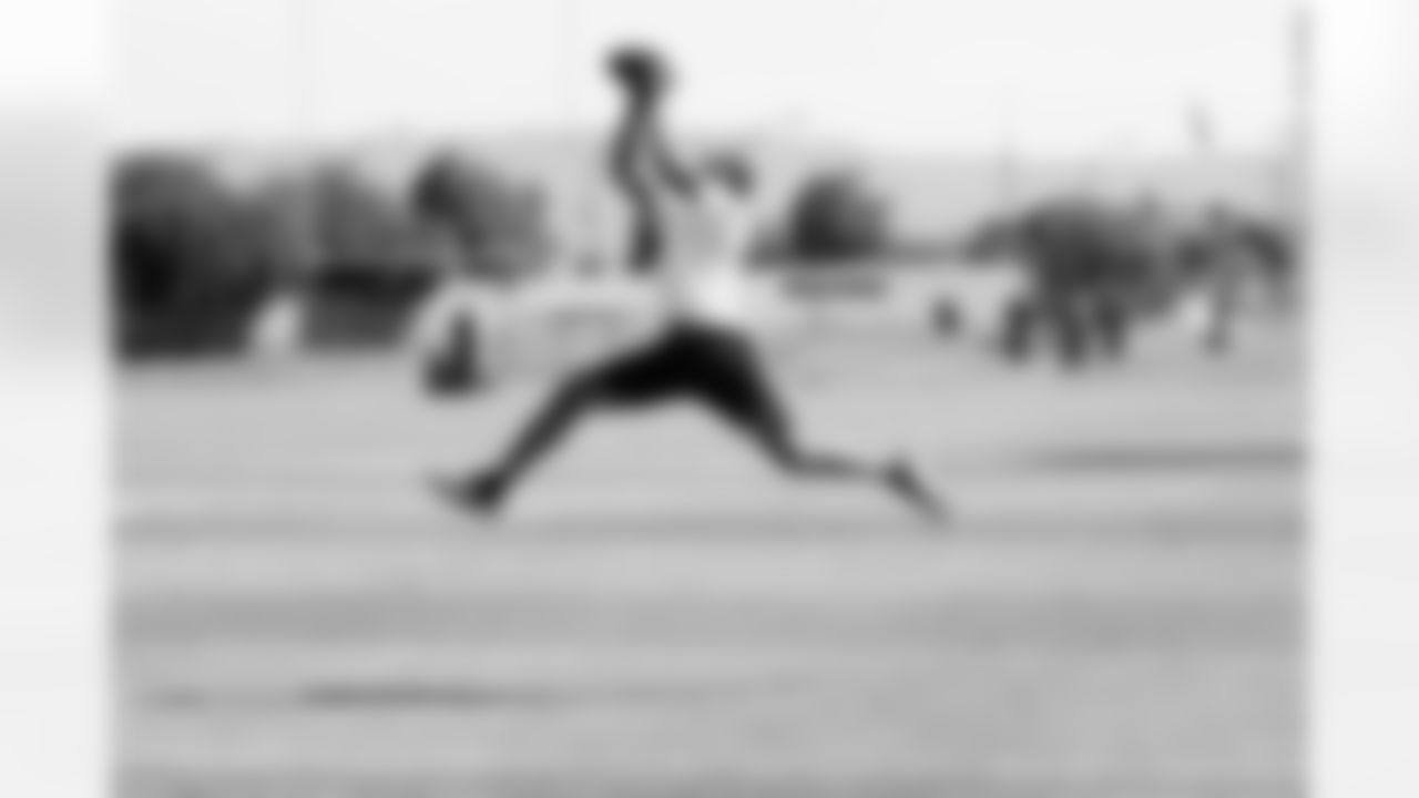 WR Brice Butler