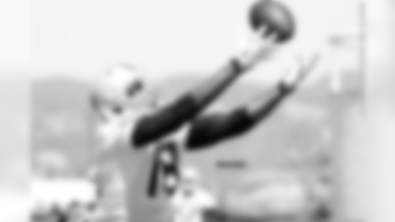 WR Andre Holmes reaches out to make the catch.