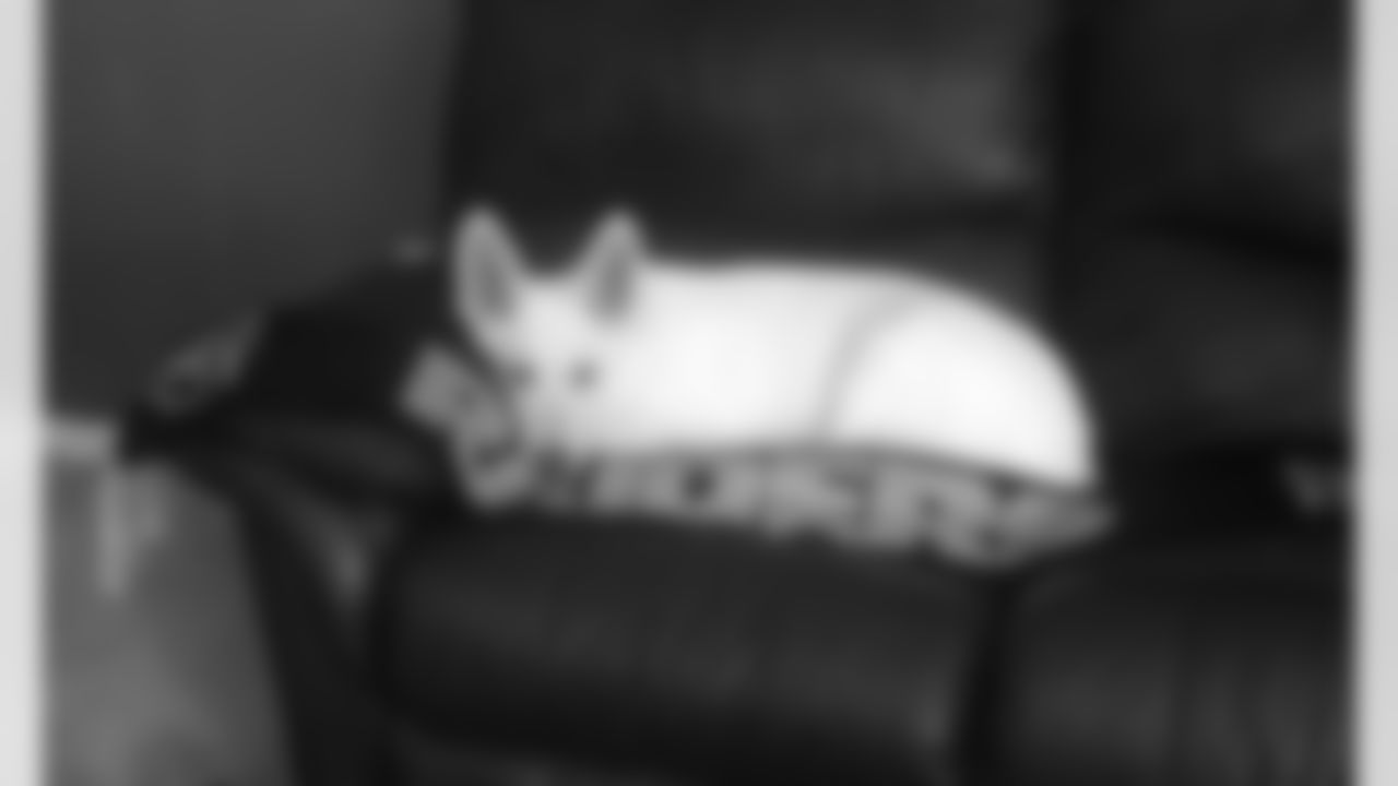 Cody