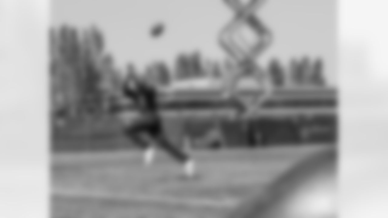 WR Brice Butler