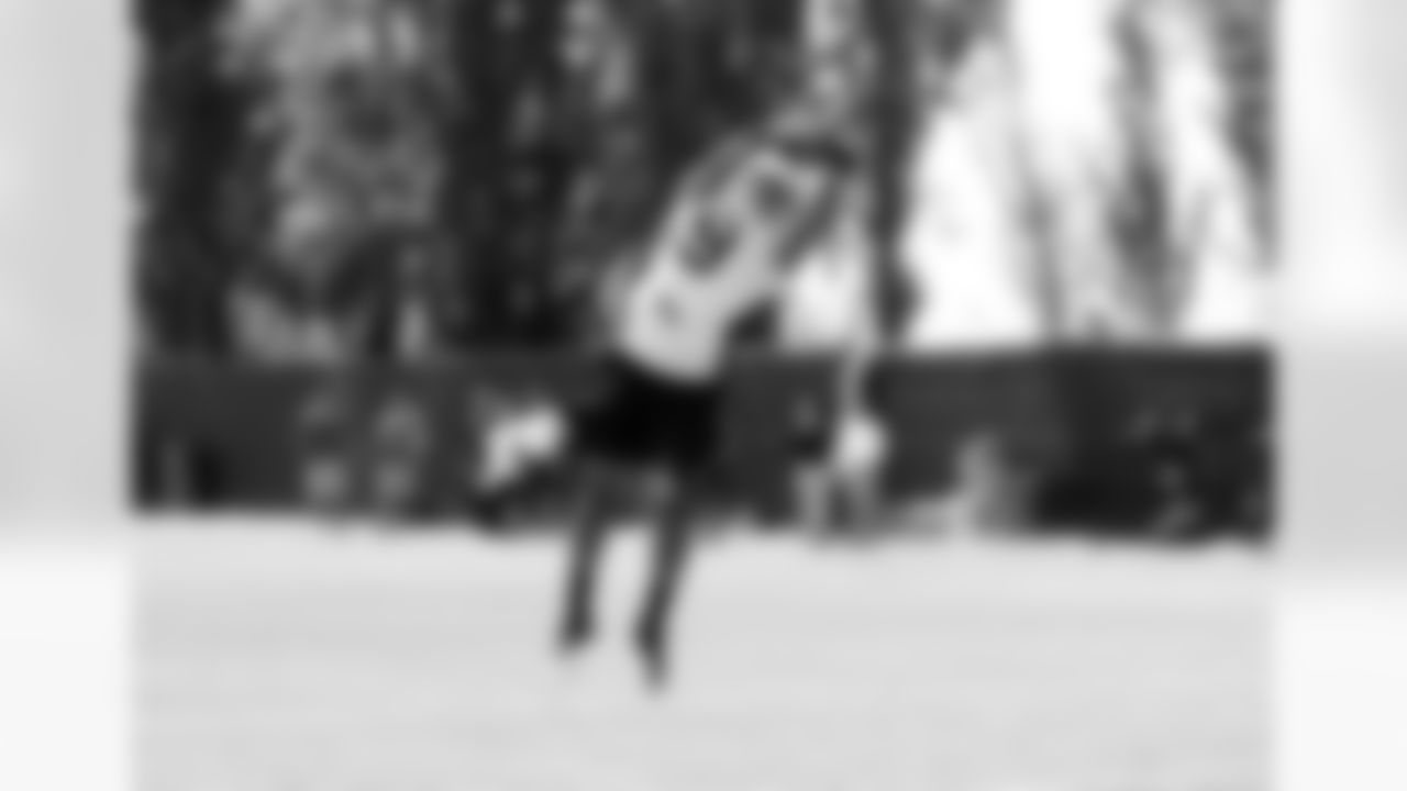 WR Brice Butler reaches out to make the catch.