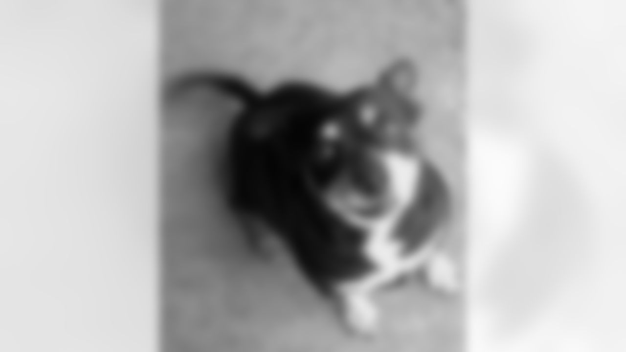 Otto