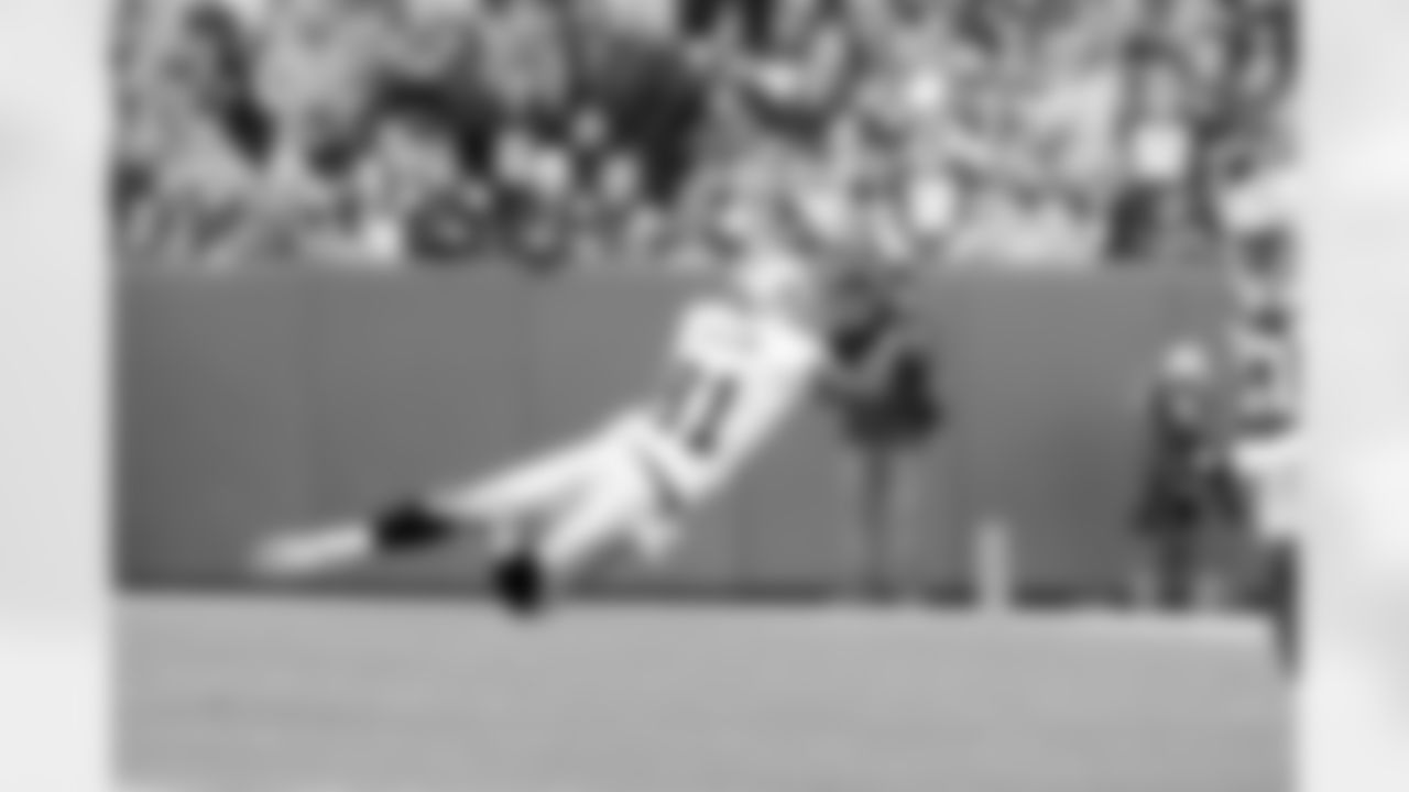 WR Chaz Schilens makes a diving catch.