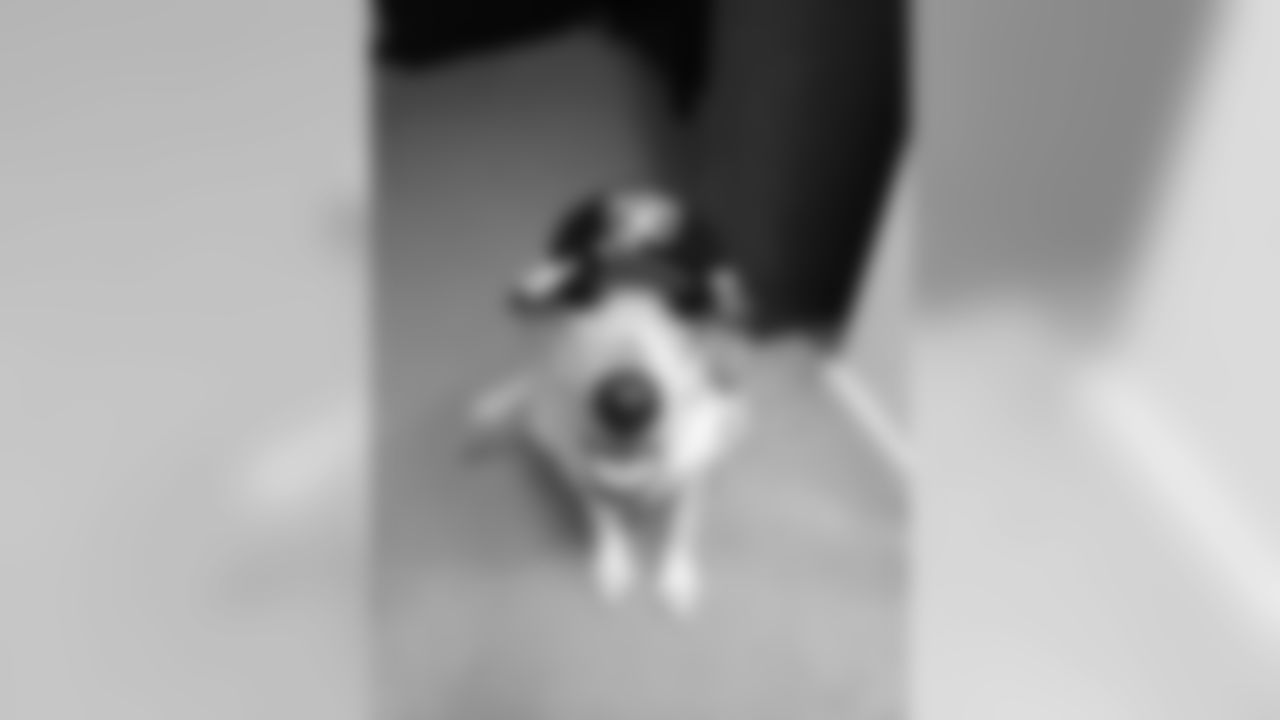 Daisy