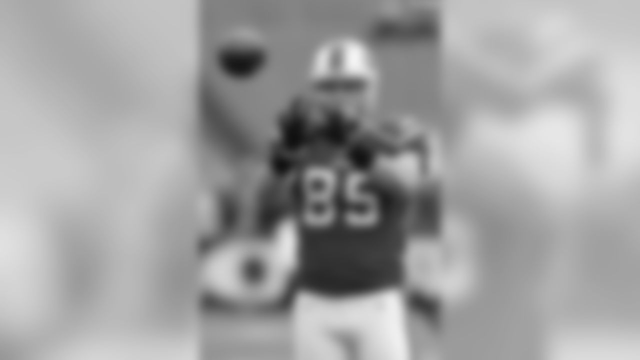 TE Lee Smith