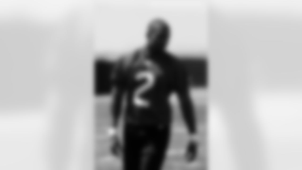P Marquette King