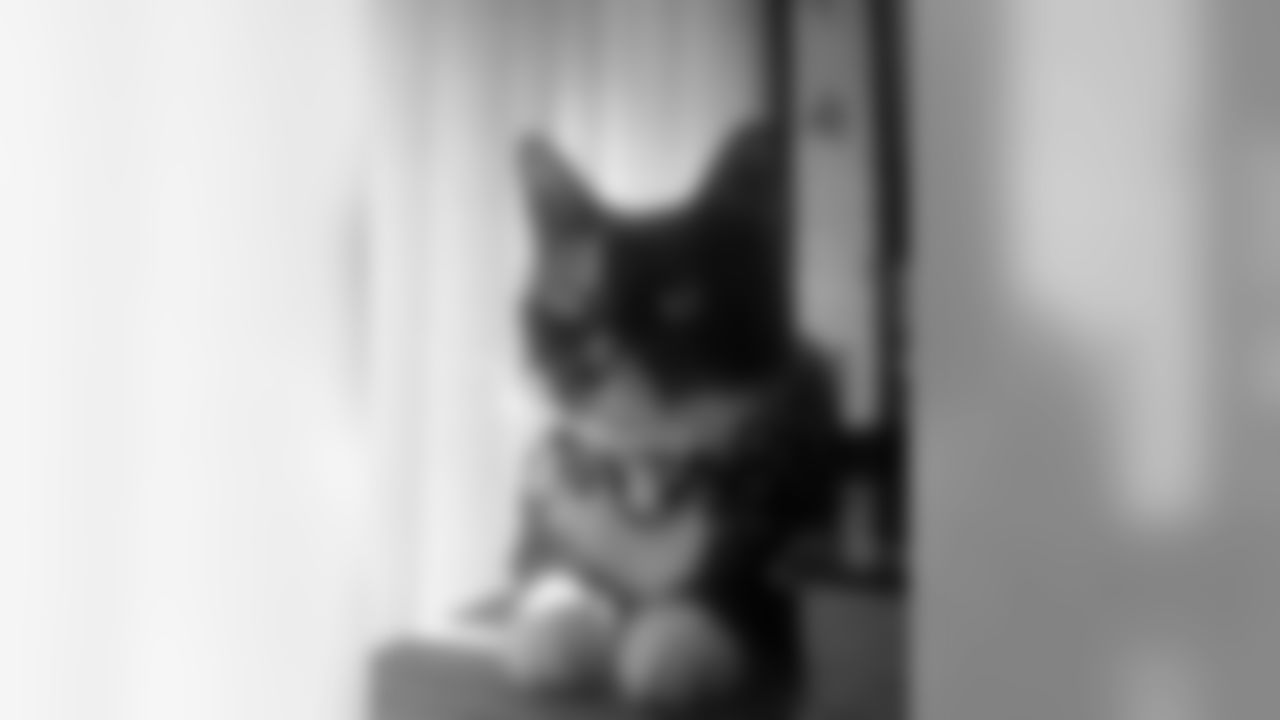 Cleo