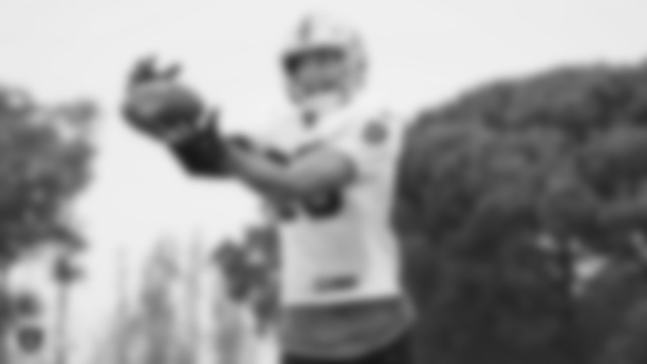 Raiders safety Erik Harris (25) makes a catch.