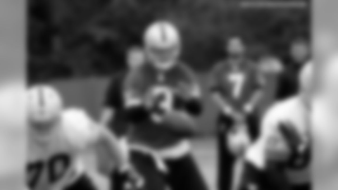 QB Carson Palmer takes the shotgun snap.